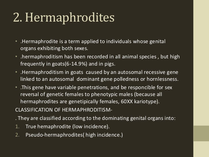 What causes hermaphrodites